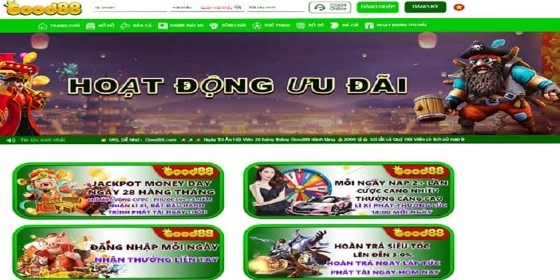 Tổng hợp một số điều khoản sử dụng